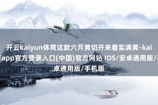 开云kaiyun体育这款六月黄切开来着实满黄-kai云体育app官方登录入口(中国)官方网站 IOS/安卓通用版/手机版