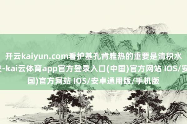 开云kaiyun.com看护基孔肯雅热的重要是清积水、灭成蚊、防叮咬-kai云体育app官方登录入口(中国)官方网站 IOS/安卓通用版/手机版