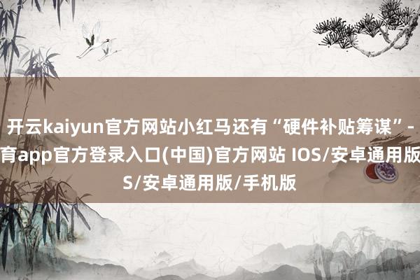 开云kaiyun官方网站小红马还有“硬件补贴筹谋”-kai云体育app官方登录入口(中国)官方网站 IOS/安卓通用版/手机版