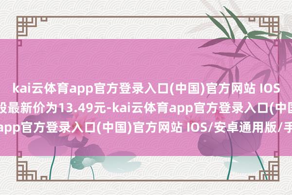 kai云体育app官方登录入口(中国)官方网站 IOS/安卓通用版/手机版正股最新价为13.49元-kai云体育app官方登录入口(中国)官方网站 IOS/安卓通用版/手机版