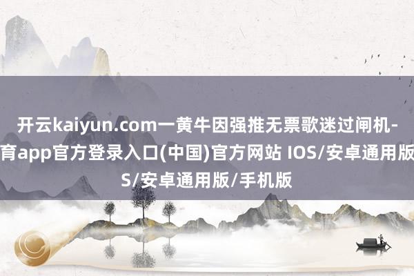 开云kaiyun.com一黄牛因强推无票歌迷过闸机-kai云体育app官方登录入口(中国)官方网站 IOS/安卓通用版/手机版