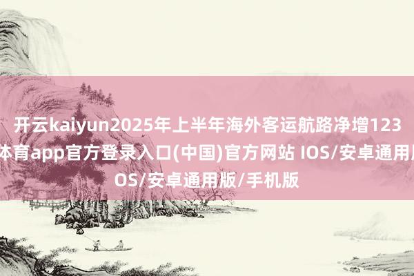 开云kaiyun2025年上半年海外客运航路净增123条-kai云体育app官方登录入口(中国)官方网站 IOS/安卓通用版/手机版