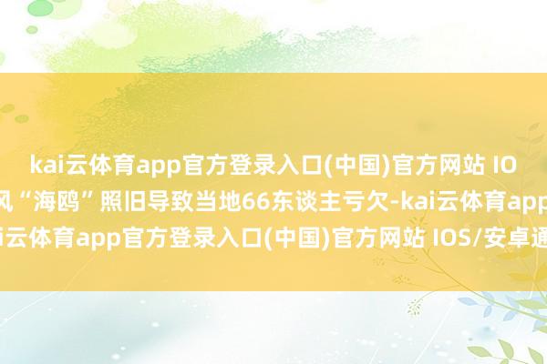 kai云体育app官方登录入口(中国)官方网站 IOS/安卓通用版/手机版台风“海鸥”照旧导致当地66东谈主亏欠-kai云体育app官方登录入口(中国)官方网站 IOS/安卓通用版/手机版
