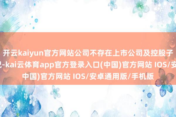 开云kaiyun官方网站公司不存在上市公司及控股子公司对外担保情况-kai云体育app官方登录入口(中国)官方网站 IOS/安卓通用版/手机版